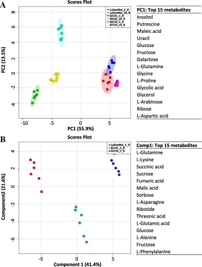 Root and leaf metabolite profiles analysis reveals the adaptive