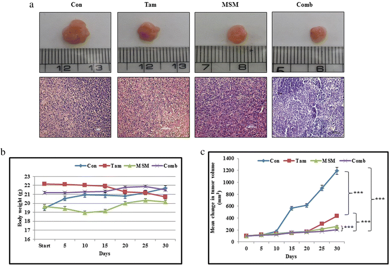 The combination of methylsulfonylmethane and tamoxifen inhibits the