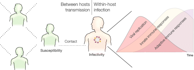 High-resolution epidemic simulation using within-host infection and ...