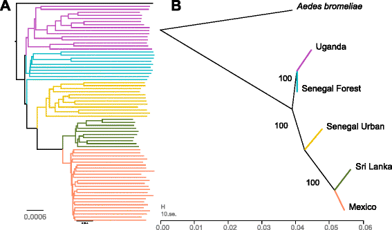 Population genomics reveals that an anthropophilic 