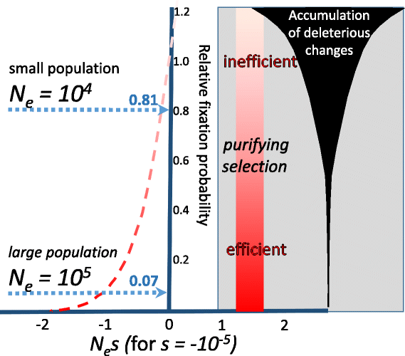 Biological function in the twilight zone of sequence conservation BMC