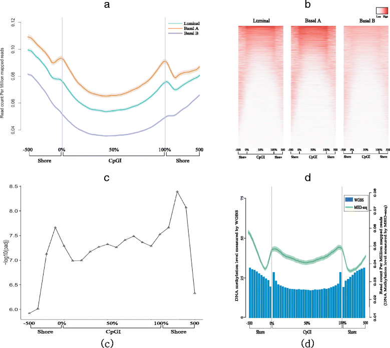 Subtype-specific CpG island shore methylation and mutation patterns in ...