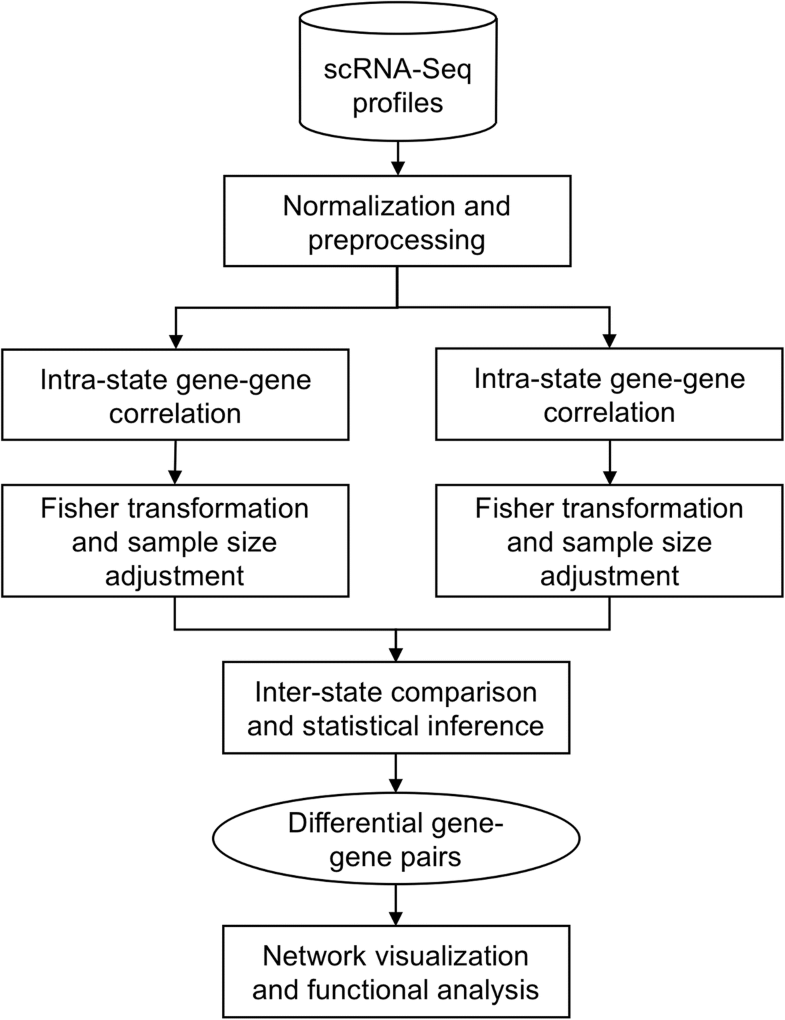 a computational tool for singlecell differential network