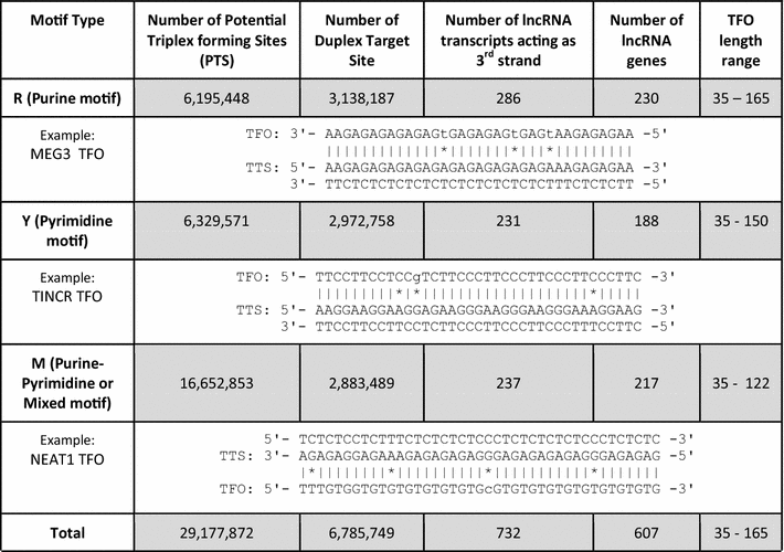 compare dna and rna venn diagram bilir opencertificates co dna and rna venn diagram