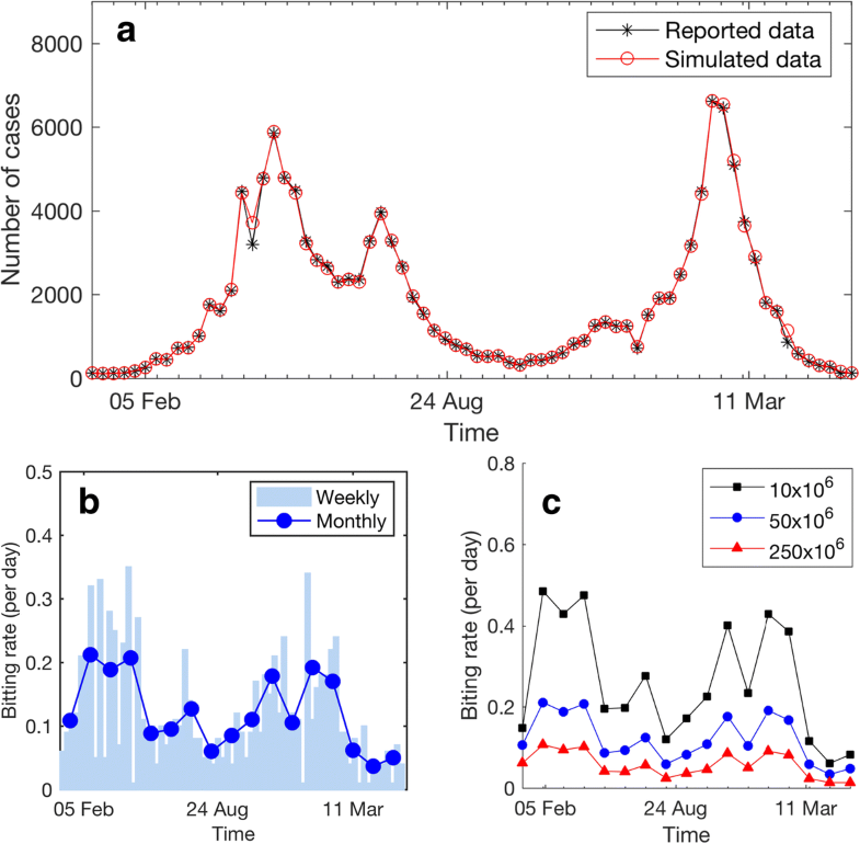 A mathematical model for Zika virus transmission dynamics with a time