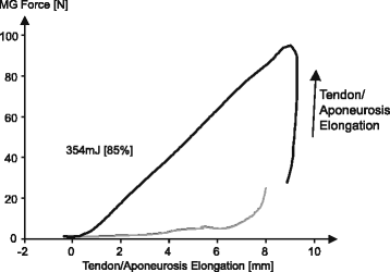 Skeletal muscle mechanics: questions, problems and possible solutions