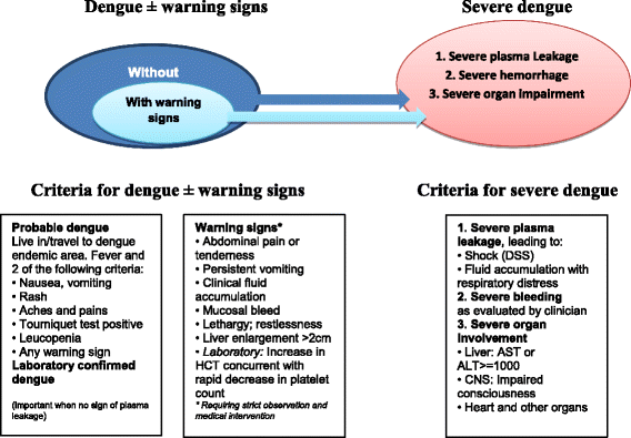 dengue fever case study scribd