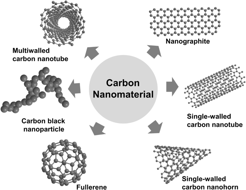 Cellular Toxicity and Immunological Effects of Carbonbased
