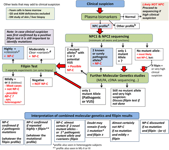 Consensus clinical management guidelines for NiemannPick disease type C Journal of