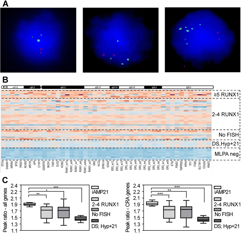 Evaluation of multiplex ligation dependent probe amplification (MLPA ...