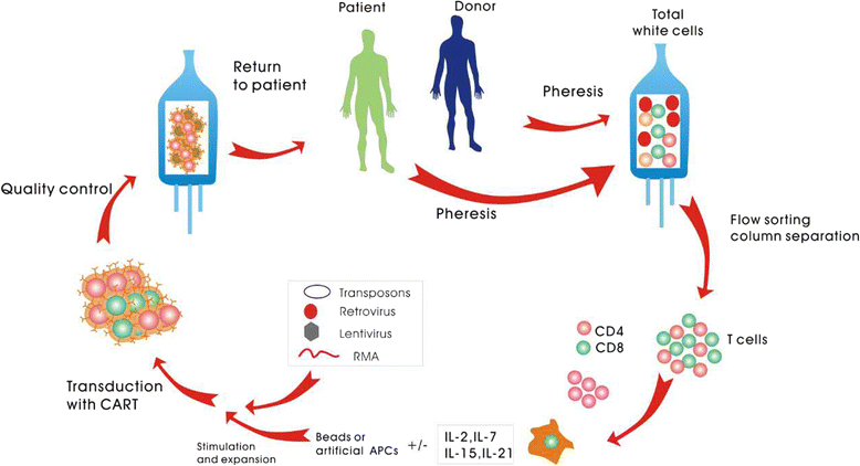 Auto stem cell transplant