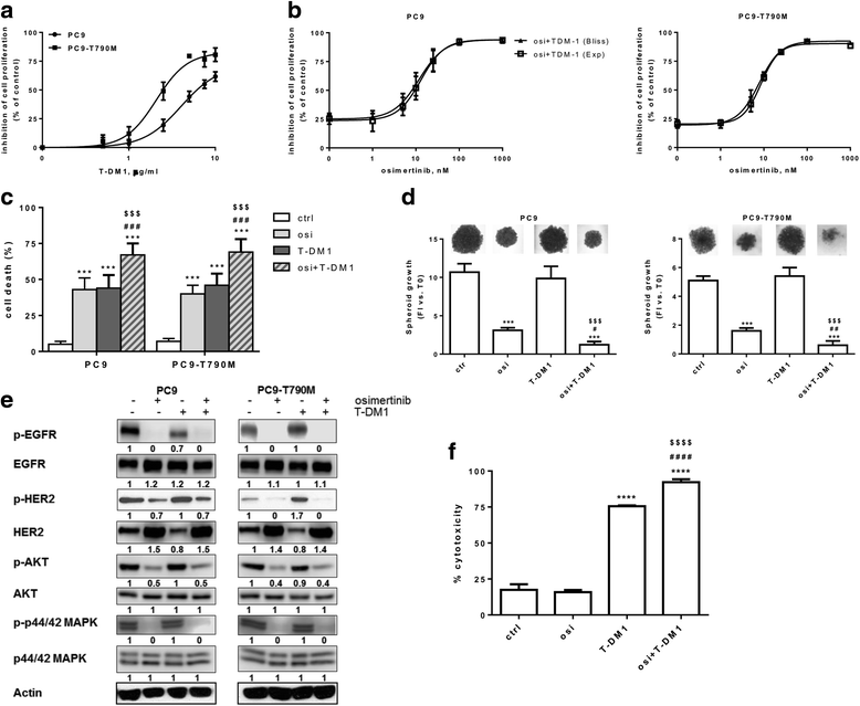 t dm1 adjuvant t dm1 adjuvant