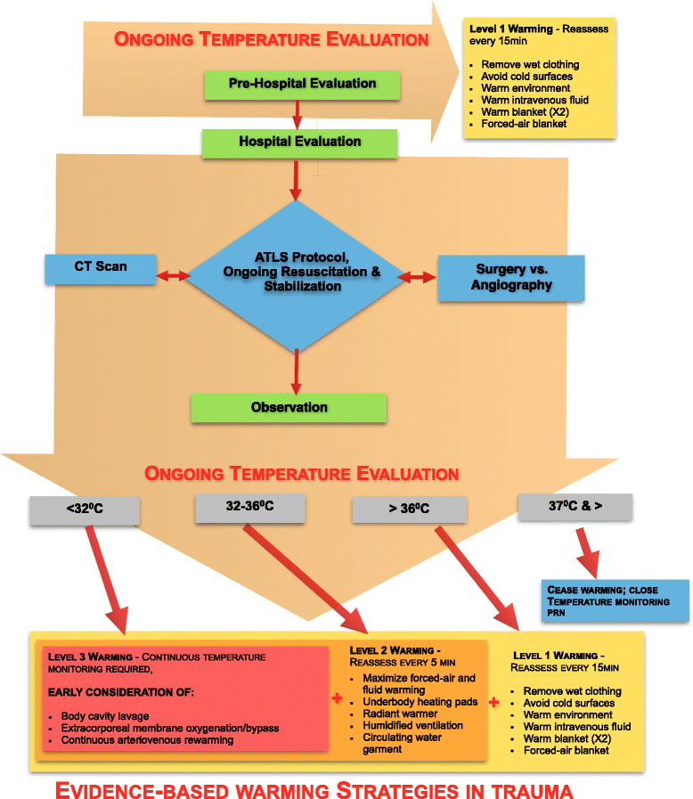 guiding principle of intervention trauma directed care guiding principle of intervention trauma directed care