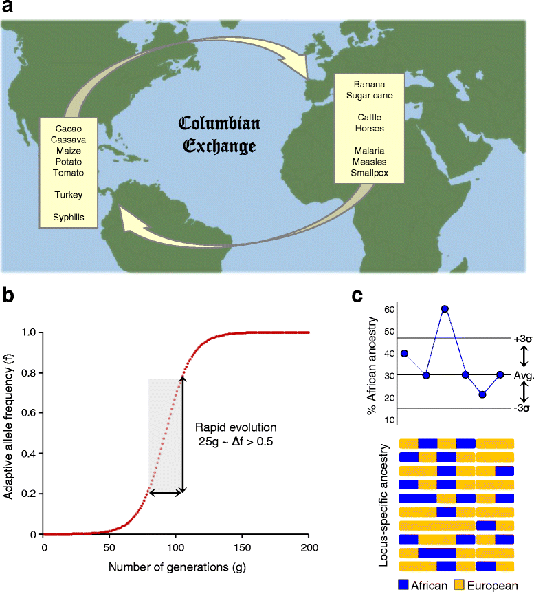 The Columbian Exchange as a source of adaptive introgression in human