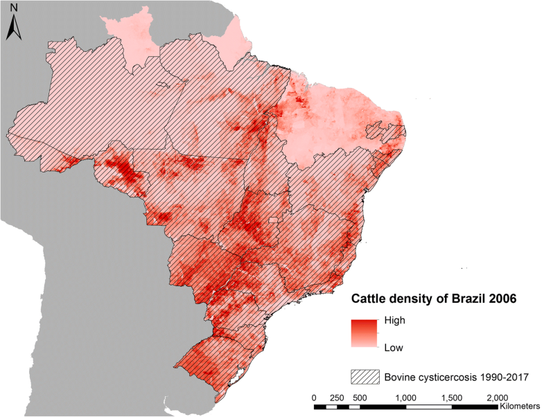 Epidemiology Of Taenia Saginata Taeniosis Cysticercosis A Systematic