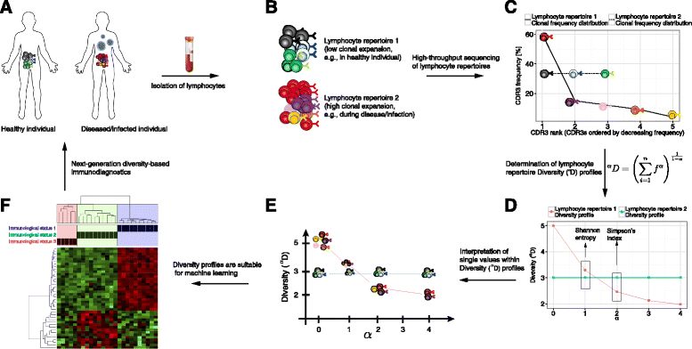 immune repertoire sequencing immune repertoire sequencing