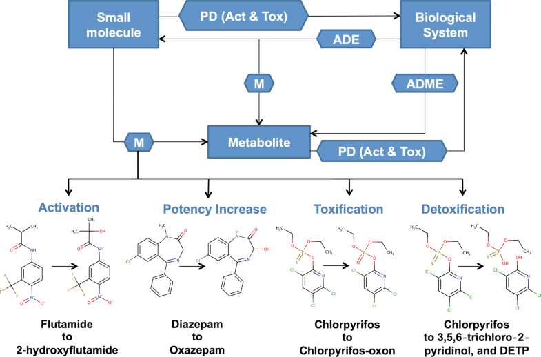 BioTransformer: a comprehensive computational tool for small molecule ...