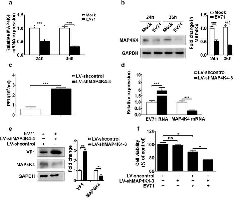 Hsa-let-7c-5p augments enterovirus 71 replication through viral ...