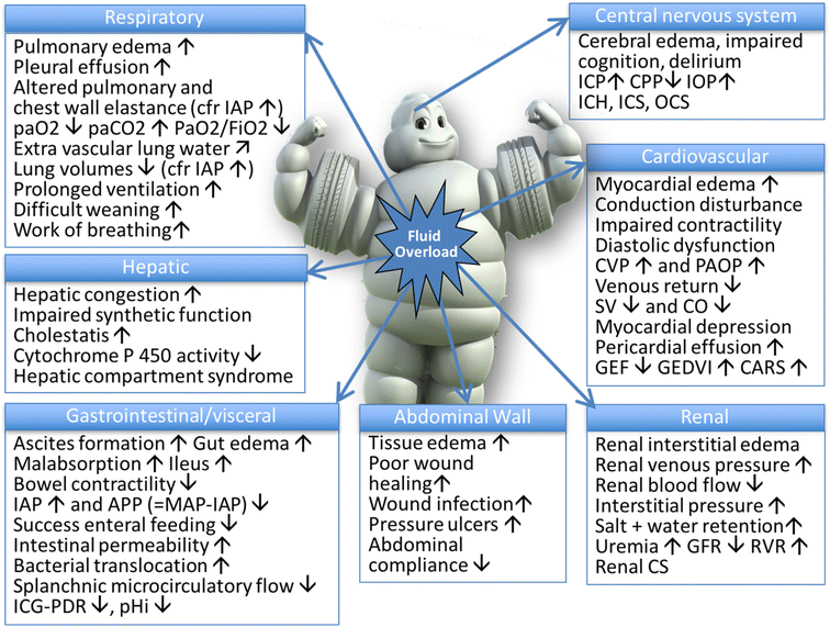 Principles of fluid management and stewardship in septic shock it is