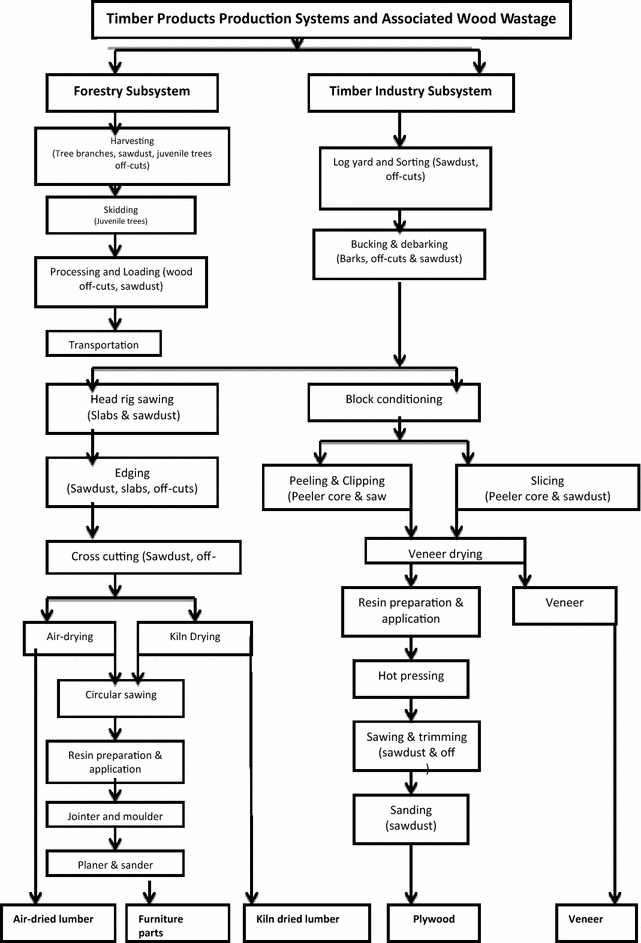 Minimizing environmental impacts of timber products ... forest diagram carbon sinks 