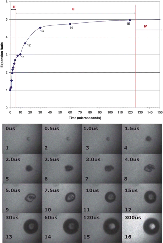 Application of acoustic droplet vaporization in ultrasound therapy