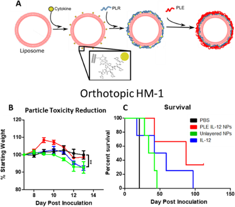 Trailer Wiring Diagram Z1 Crossroad - 88 Wiring Diagram