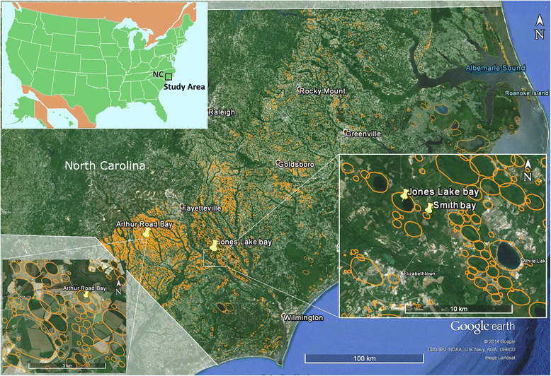Evidence for natural molecular hydrogen seepage associated with