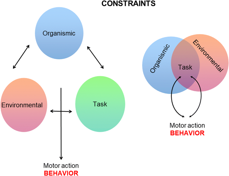 On the Relatedness and Nestedness of Constraints | Sports Medicine - Open | Full Text
