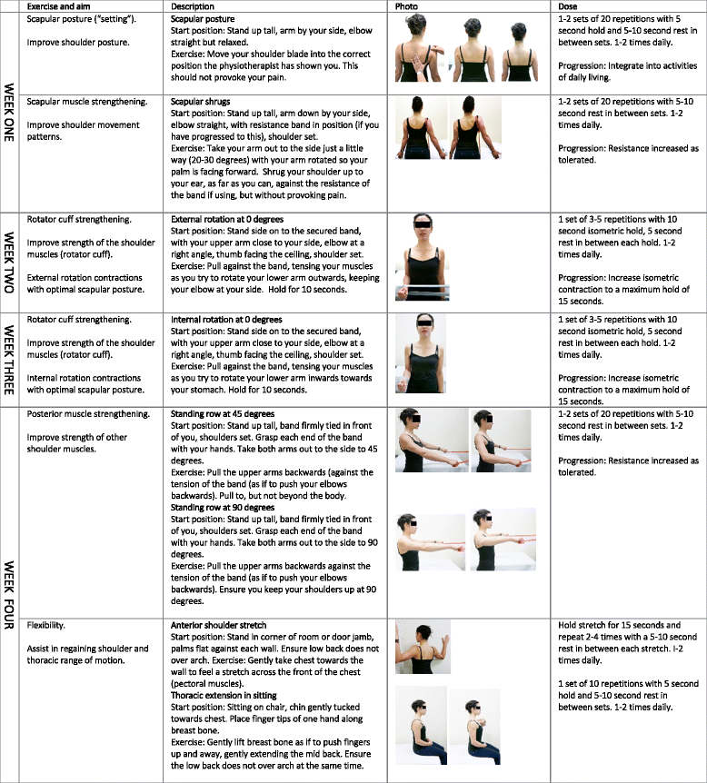 A comparison of isometric, isotonic concentric and isotonic eccentric ...