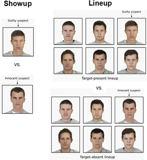 Dissertation study eyewitness identification task