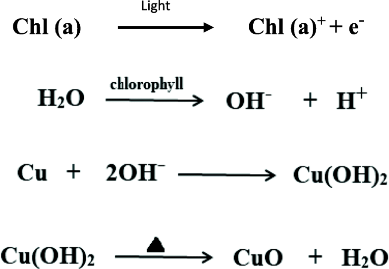 Copper(II) oxide nanocatalyst preparation and characterization green