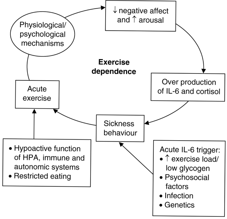 Psychobiological Mechanisms Of Exercise Dependence | SpringerLink