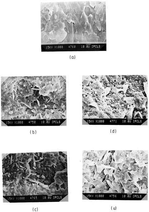 Properties And Performance Of Polymer Blends Springerlink