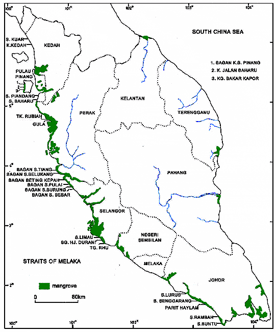 South East Asia  SpringerLink