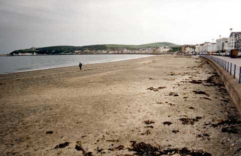 British Isles Springerlink - 