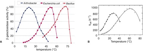 Life At Low Temperatures Springerlink