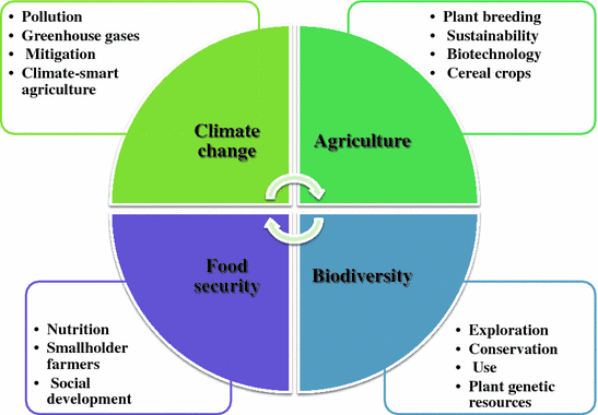 Current Issues in Cereal Crop Biodiversity | SpringerLink