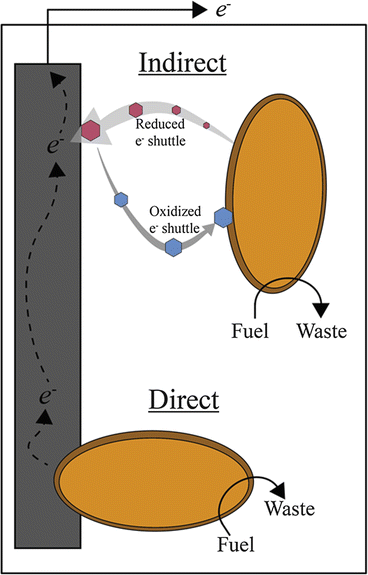 Photosynthetic Microbial Fuel Cells Springerlink