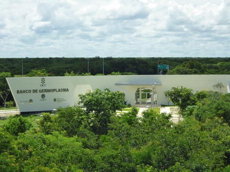 The Biodiversity Of The Yucatan Peninsula A Natural Laboratory