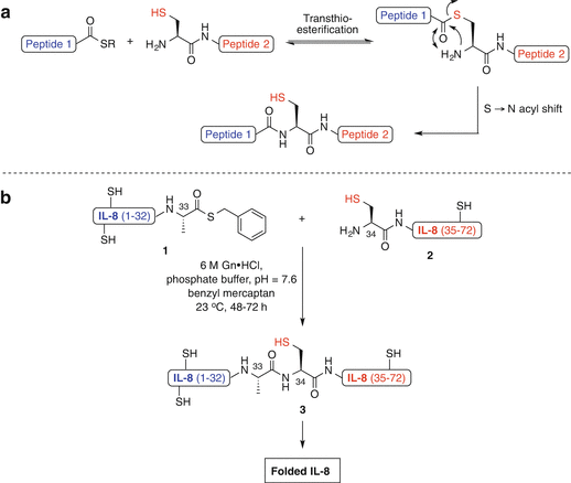 Modern Extensions Of Native Chemical Ligation For Chemical Protein ...