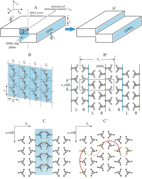 Molecular View Of Properties Of Random Copolymers Of Isotactic Polypropylene Springerlink Molecular View Of Properties Of Random Copolymers Of Isotactic Polypropylene Springerlink