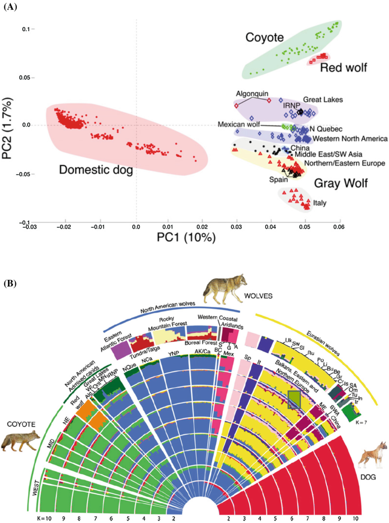 Population Genomics Advancing Understanding of Nature SpringerLink