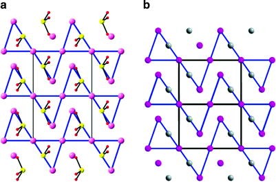 Concurrent Pathways In The Phase Transitions Of Alloys And Oxides