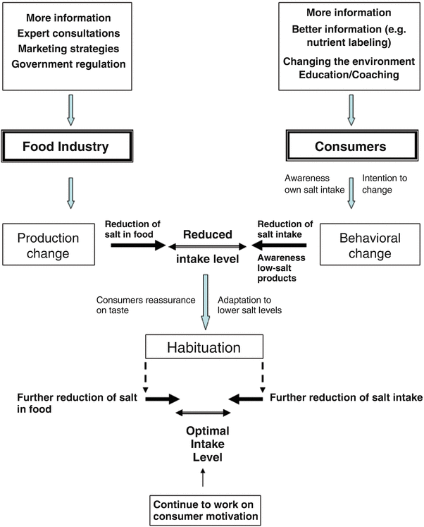 Impact Of Salt Intake On The Pathogenesis And Treatment Of Hypertension Springerlink