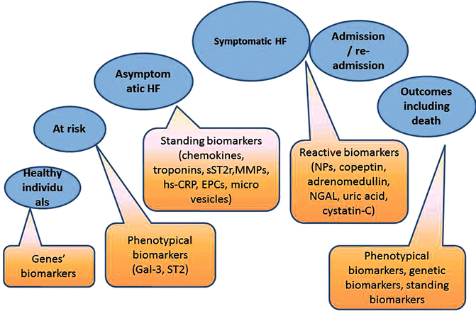 Circulating Biomarkers In Heart Failure Springerlink Circulating Biomarkers In Heart Failure Springerlink