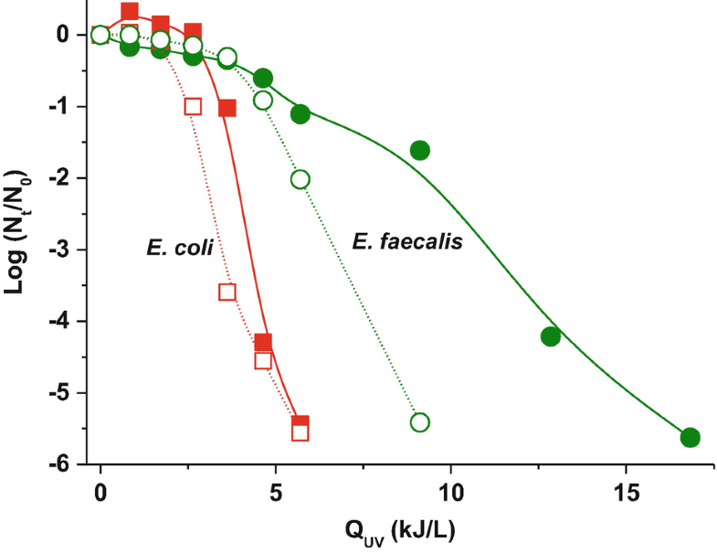 Homogeneous Fenton and PhotoFenton Disinfection of Surface and