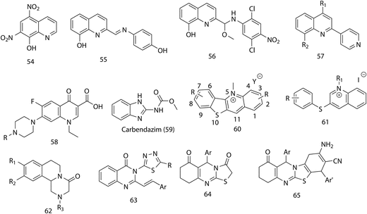 Past Present And Future Of Antifungal Drug Development