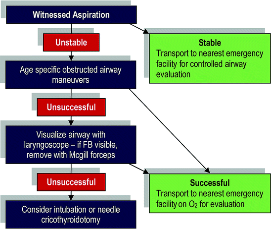 Pediatric Airway Management Springerlink