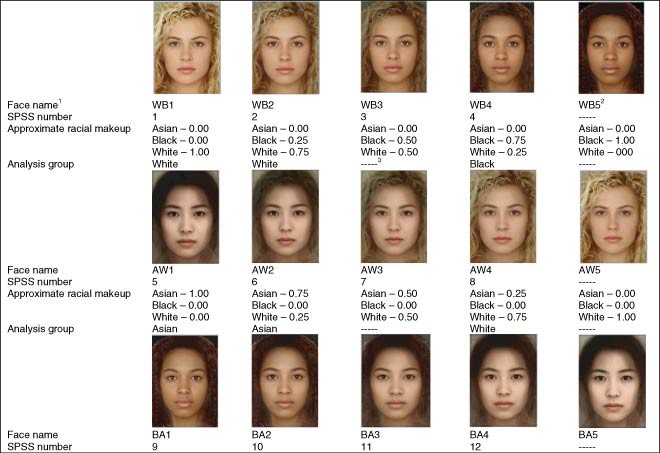 Racial Characteristics And Female Facial Attractiveness Perception Among United States University Students Springerlink