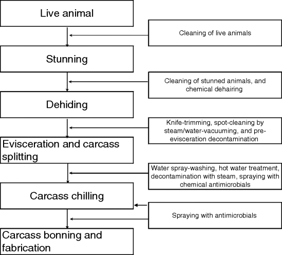 Haccp Flow Chart For Chicken Curry